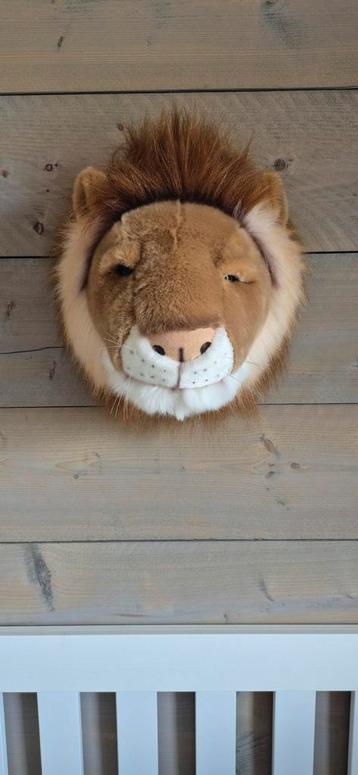 Wild&Soft Cesar de Leeuw beschikbaar voor biedingen