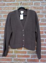 Nieuw H&M donkerbruin vest maat L, H&M, Bruin, Maat 42/44 (L), Nieuw