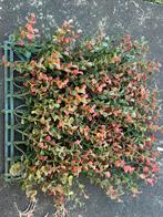 Tuindecoratie kunstbloemen voor buiten, Ophalen of Verzenden, Buiten
