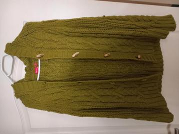 Slechts 2x gedragen appeltjesgroen vest  beschikbaar voor biedingen