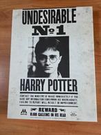 Harry Potter poster op  canvas 40 bij 30 cm, Rechthoekig Staand, Ophalen of Verzenden, Zo goed als nieuw, Canvas of Doek