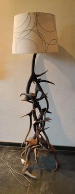 Unieke Gewei Lamp, Ophalen