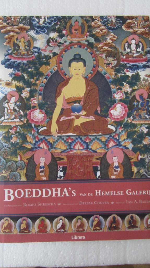 Boeddha's van de hemelse galerij, Boeken, Godsdienst en Theologie, Zo goed als nieuw, Boeddhisme, Ophalen of Verzenden