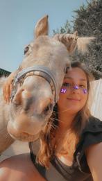 Verzorg paard of pony gezocht, Dieren en Toebehoren, Paarden en Pony's | Overige Paardenspullen, Ophalen, Nieuw, Overige soorten