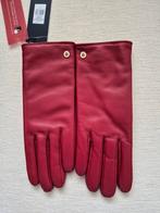 Tommy hilfiger leren handschoenen nieuw, Nieuw, Ophalen of Verzenden, Maat 36 (S), Handschoenen