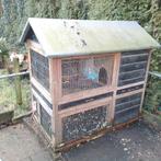 Konijnhok, Dieren en Toebehoren, Konijnen, Vrouwelijk, Groot, 3 tot 5 jaar