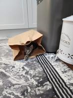 Kitten verkoop, Dieren en Toebehoren, Ophalen of Verzenden