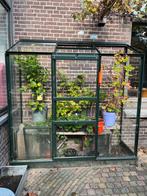 Halls Wall Garden 26 Muurkas - Groen & Glas, Ophalen, Muurkas, Nieuw, Glas