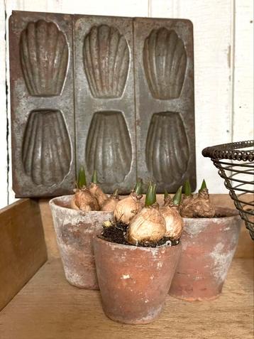 Brocante oude Madeleine bakvorm  beschikbaar voor biedingen