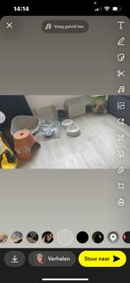 Konijnen spullen/ benodigdheden, Dieren en Toebehoren, Ophalen of Verzenden