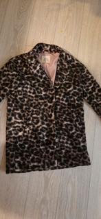 Esprit jas (small) van wol, licht roze voering, Kleding | Dames, Ophalen of Verzenden, Zo goed als nieuw, Maat 36 (S), Roze