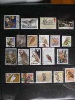 Vogels- Uilen op postzegels, Verzenden, Gestempeld, Dier of Natuur