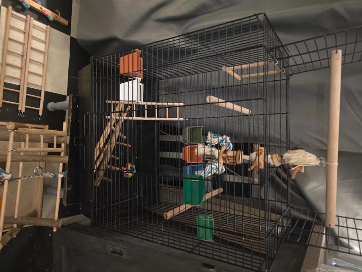 Vogelkooi en benodigdheden, Dieren en Toebehoren, Vogels | Hokken en Kooien, Zo goed als nieuw, Vogelkooi, Metaal, Ophalen