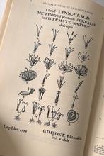 Linnaei species plantarium 1753, Linneaus facsimile, Ophalen of Verzenden