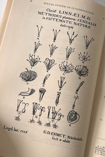 Linnaei species plantarium 1753, Linneaus facsimile beschikbaar voor biedingen