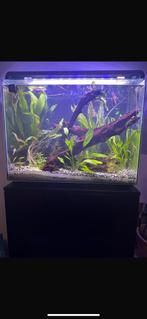 Superfish home 85, Dieren en Toebehoren, Ophalen, Gebruikt, Leeg aquarium