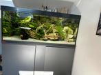 Aquarium met onderkast 280 liter, Ophalen, Zo goed als nieuw, Gevuld zoetwateraquarium