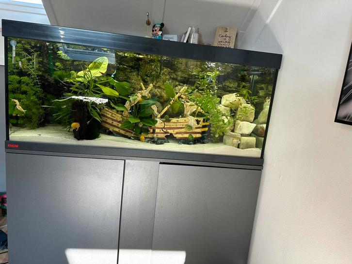 Aquarium met onderkast 280 liter, Dieren en Toebehoren, Vissen | Aquaria en Toebehoren, Zo goed als nieuw, Gevuld zoetwateraquarium