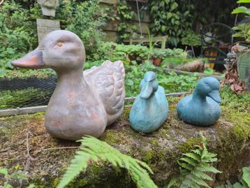 Fraaie decoratieve eenden  beschikbaar voor biedingen