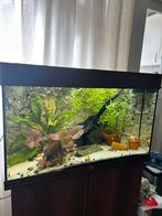 Juwel Rio 125 donkerbruin LEEG!, Dieren en Toebehoren, Vissen | Aquaria en Toebehoren, Ophalen, Zo goed als nieuw, Leeg aquarium