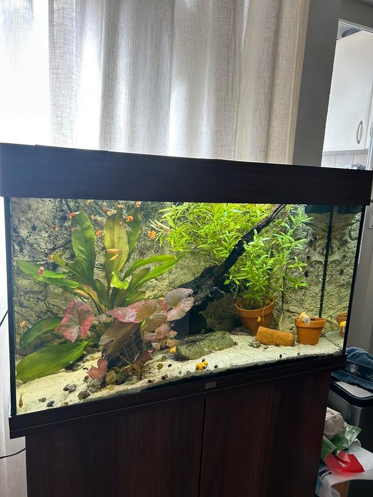 Juwel Rio 125 donkerbruin LEEG!, Dieren en Toebehoren, Vissen | Aquaria en Toebehoren, Zo goed als nieuw, Leeg aquarium, Ophalen