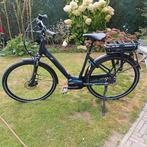 GIANT Entour E+, 51 tot 55 cm, Ophalen, Gebruikt, Giant