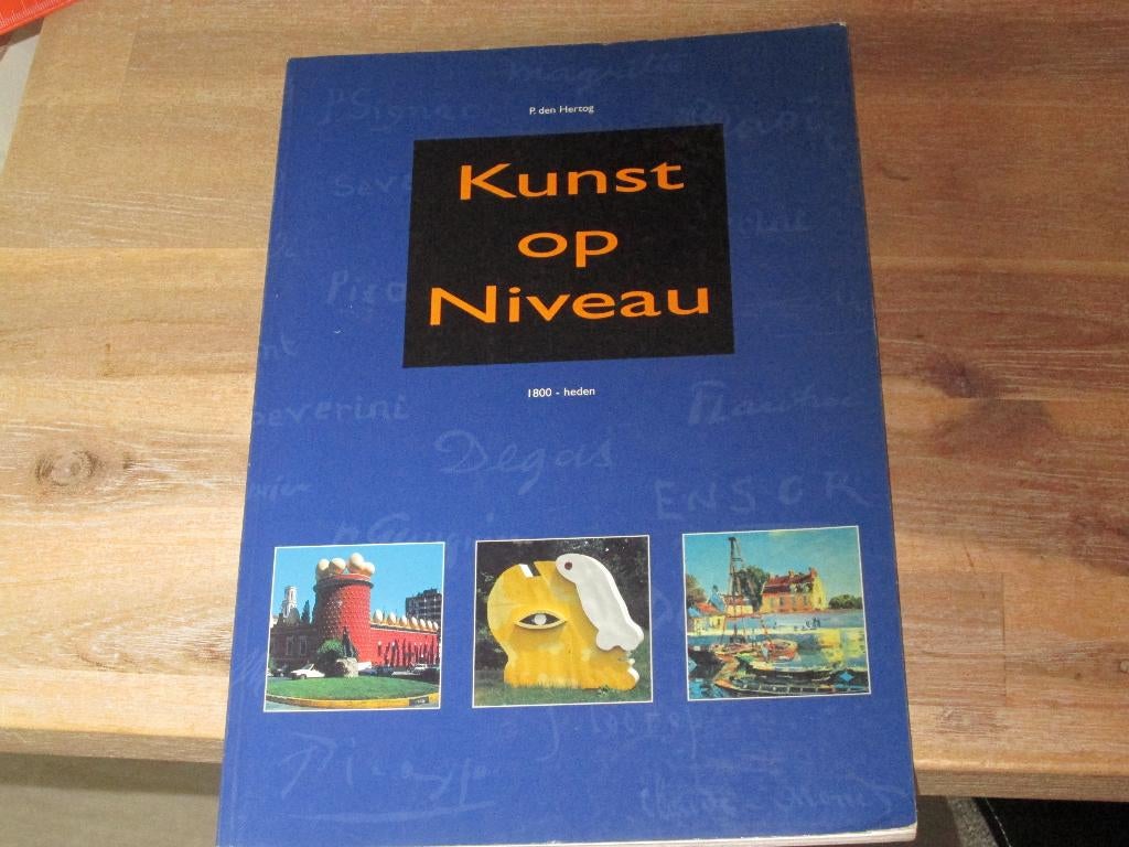 kunst op niveau P. den Hertog, Boeken, Ophalen of Verzenden, Zo goed als nieuw