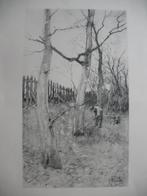 Oude Prent Zwart tinten *  Anton Mauve  Vintage, Ophalen of Verzenden, Voor 1940, Zo goed als nieuw, Overige onderwerpen