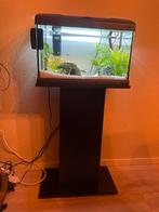 Aquarium ferplast 50liter, Dieren en Toebehoren, Vissen | Aquaria en Toebehoren, Ophalen, Zo goed als nieuw, Leeg aquarium