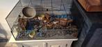 Interzoo hamsterkooi compleet., Kooi, Nieuw, Hamster, 75 tot 110 cm