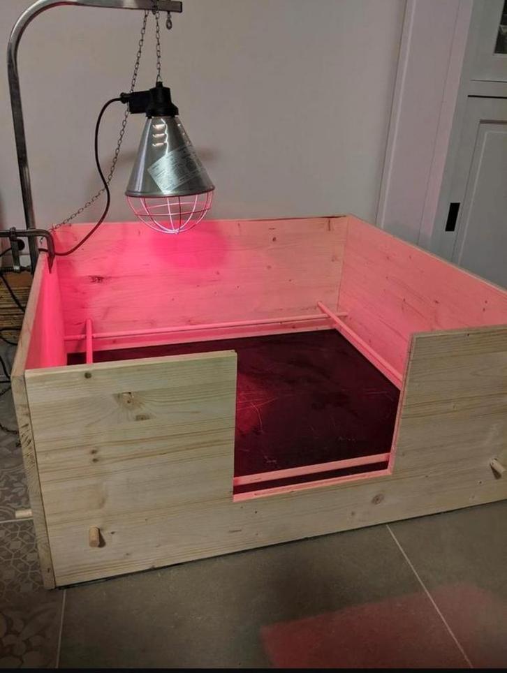 Werpkist te huur, Dieren en Toebehoren, Hondenhokken, 65 tot 100 cm, 75 tot 110 cm, Ophalen