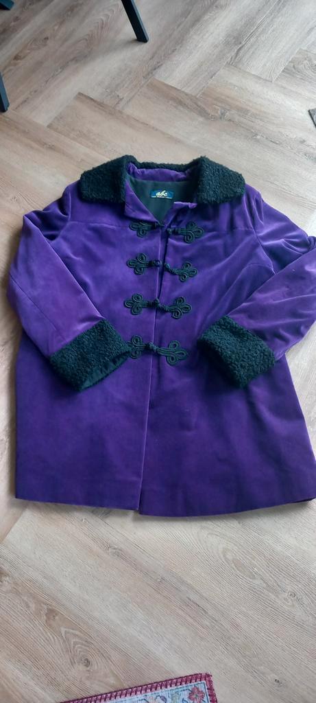 In opdracht  gemaakte Winterjas - Iets Aparts!, Kleding | Dames, Jassen | Winter, Zo goed als nieuw, Maat 42/44 (L), Paars, Ophalen of Verzenden