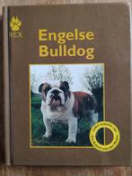 Engelse Bulldog - REX Boek, Gelezen, Drs. Robert van der Molen, Honden, Ophalen of Verzenden