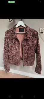 Maison scotch, Maat 38/40 (M), Zo goed als nieuw, Roze, Maison Scotch