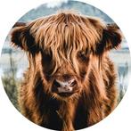 Landelijke muurcirkels forex, Huis en Inrichting, Woonaccessoires | Wanddecoraties, Ophalen of Verzenden, Nieuw