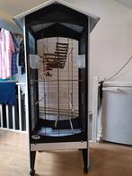 Vogelkooi 160 cm hoog, Dieren en Toebehoren, Ophalen of Verzenden, Zo goed als nieuw, Metaal, Vogelkooi