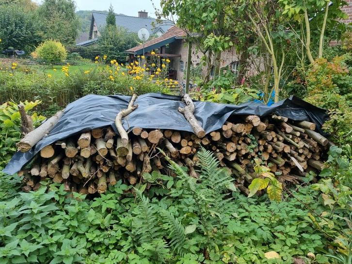 Haardhout/ Kachelhout, divers, Dieren en Toebehoren, Stalling en Weidegang