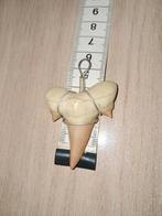 Haaientand Kettinghanger - Groot & Scherp!, Overige materialen, Gebruikt, Beige, Ophalen of Verzenden