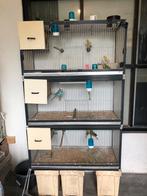 Broedkooien trespA aluminium, Ophalen of Verzenden, Zo goed als nieuw, Aluminium, Broedkooi of Kweekkooi