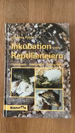 Inkubation von reptilien eieren, Dieren en Toebehoren, Reptielen en Amfibieën