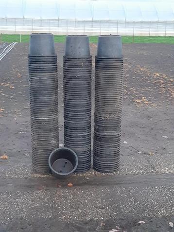 te koop 10L potten beschikbaar voor biedingen