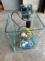 Aquarium, Dieren en Toebehoren, Ophalen, Gebruikt, Leeg aquarium