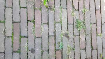 Gebakken waaltjes, Klinkers 8m2 beschikbaar voor biedingen