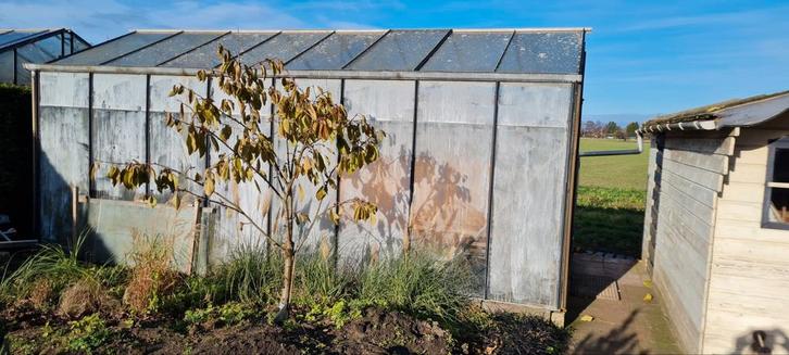 Professionele hobby kweekkas, Tuin en Terras, Kassen, Gebruikt, Kweekkas, Overige materialen, Glas, Ophalen