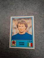 Panini sticker Euro 80 Italia. Antonio Cabrini Italië., Verzenden, Zo goed als nieuw, Sticker