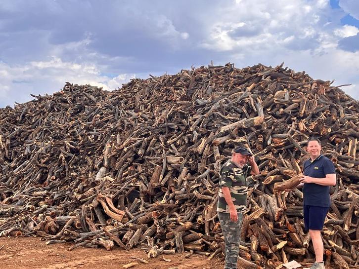500KG Namibiaans zongedroogd openhaardhout voor slecht €299, Tuin en Terras, Haardhout, Stammen, Overige houtsoorten, Minder dan 3 m³