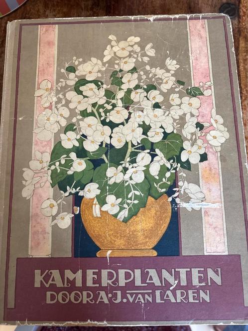 Kamerplanten door AJ van Laren, Antiek en Kunst, Antiek | Boeken en Bijbels, Ophalen of Verzenden