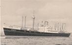 ss Schiedyk HAL 9,592 Gross Reg. Tons - kaart, Ophalen of Verzenden, Nieuw, Motorboot, Kaart, Foto of Prent