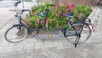Vintage Tandem Gazelle Balance, Minder dan 10 versnellingen, Gebruikt, 55 cm of meer, GAZELLE
