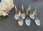 Set van 6 rvs amuse lepels, zware kwaliteit, Huis en Inrichting, Keuken | Bestek, Ophalen of Verzenden, Gebruikt, Rvs of Chroom